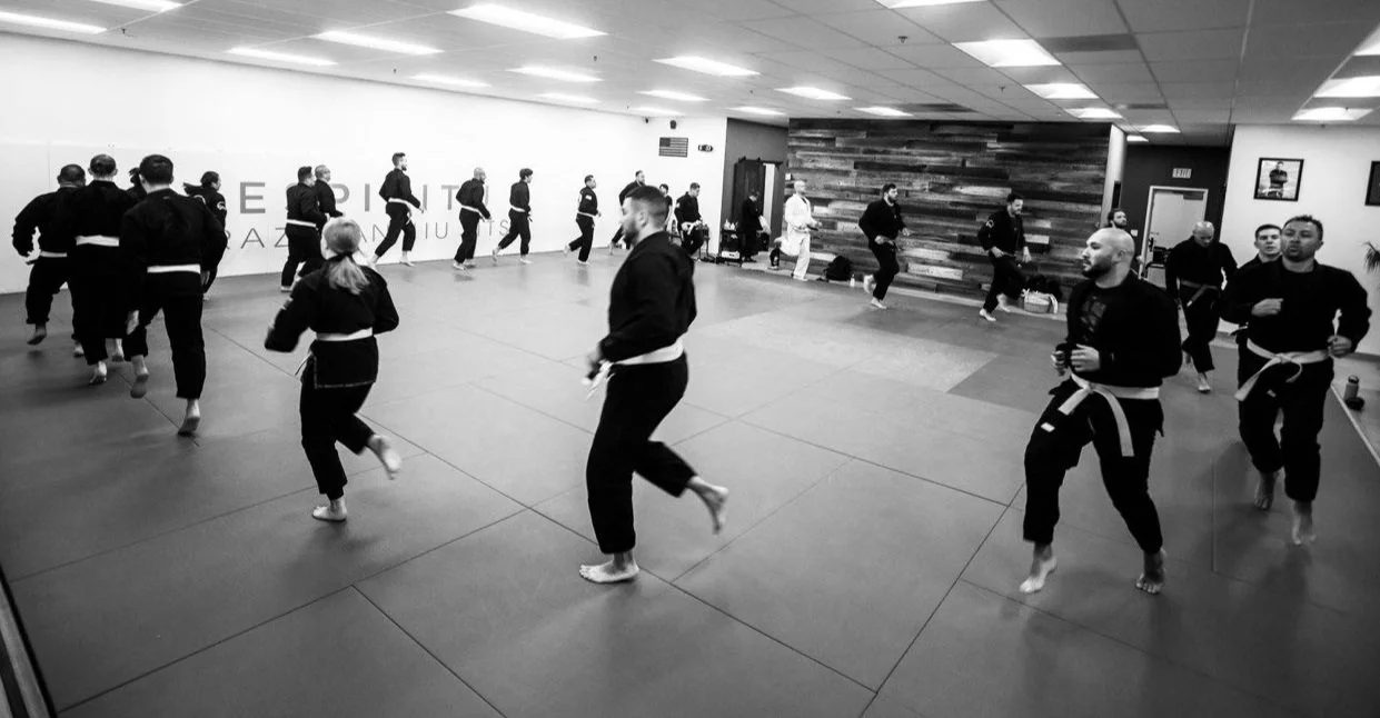 Brazilian Jiu-Jitsu training near Camarillo at Espiritu Jiu-Jitsu
