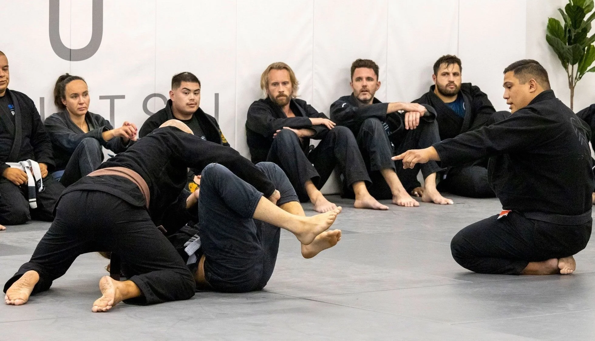 Adult fundamentals BJJ class at Espiritu Jiu-Jitsu